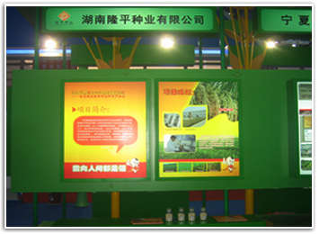 公司展位（wèi）