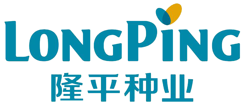 草莓视频污污污污品牌